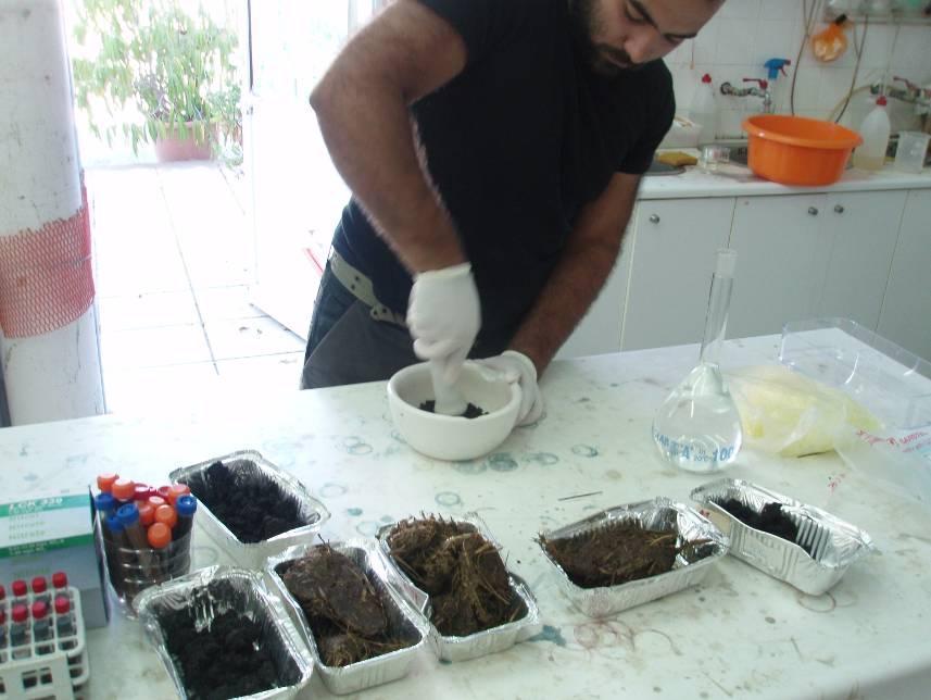 Πτυχιακή διατριβή Μιχελάκη Γιάννη & Χαλεβελάκη Γιώργου 3.