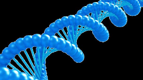 DNA Computing 7-point Hamiltonian