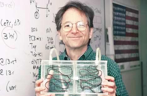 Solutions to Combinatorial