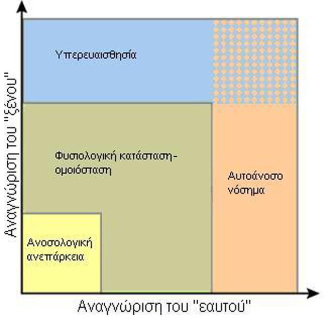 Εικόνα 2. Η φυσιολογική ανοσολογική ομοιόσταση. Η ομοιόσταση συνίσταται στην ισορροπία της αναγνώρισης και διάκρισης του «εαυτού» από το «ξένο».