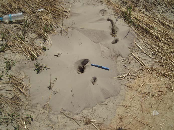 Στην παραλία της Μανωλάδας, περίπου 19χλμ ΒΑ της Ανδραβίδας, φαινόμενα ρευστοποίησης παρατηρήθηκαν με τη μορφή μικρών κρατήρων άμμου (μερικών εκατοστών) σε απόσταση 50 με 70μ από την ακτογραμμή, ενώ