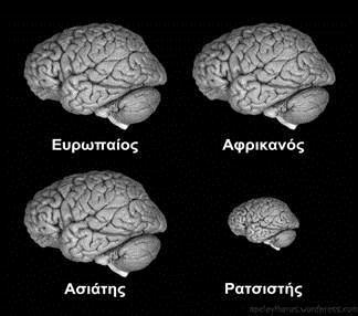 Oι άνθρωποι είναι διαφορετικοί σε μια σειρά από εξωτερικά σωματικά χαρακτηριστικά, όπως το φύλο, το χρώμα του δέρματος, των μαλλιών και των ματιών, αλλά και