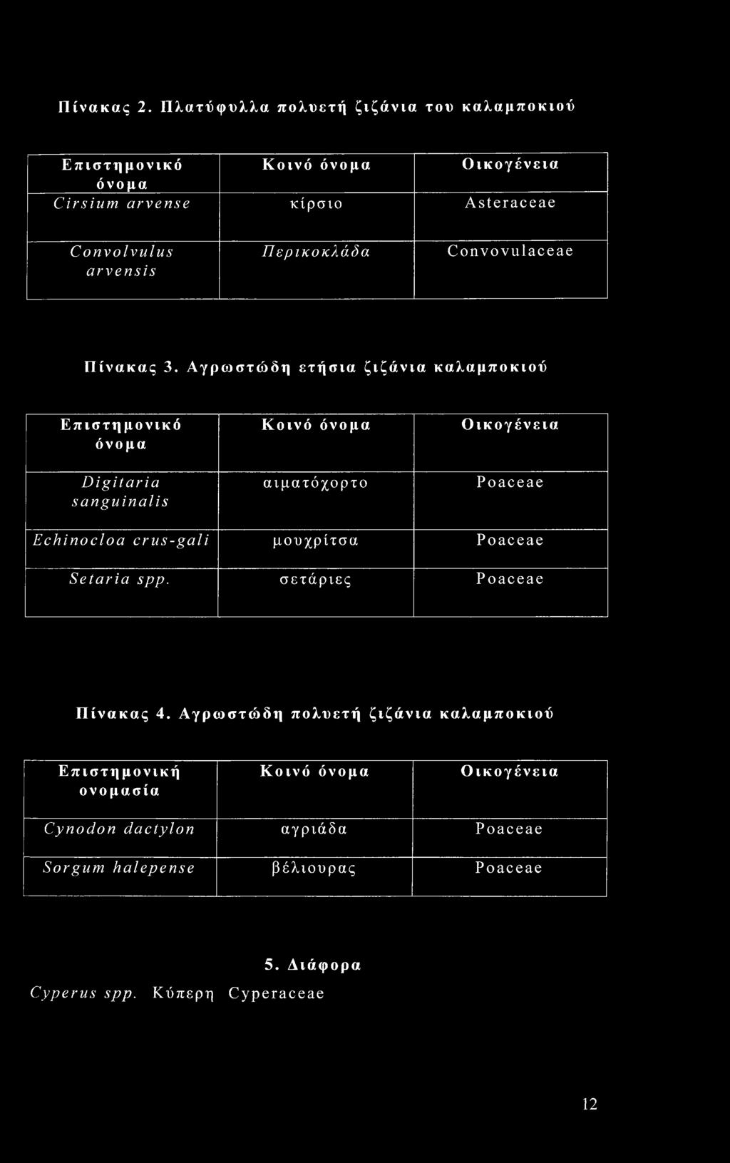 Περικοκλάδα Convovulaceae Πίνακας 3.