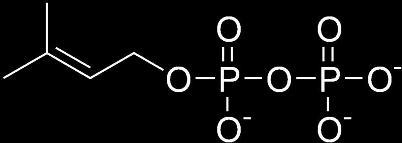 Isopentenyl pyrophosphate (IPP, isopentenyl diphosphate) Dimethylallyl