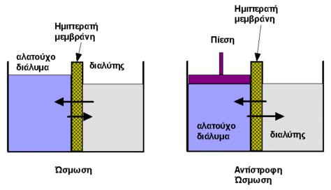 υψηλότερη της ωσµωτικής, τότε η ροή αντιστρέφεται και έχουµε έξοδο καθαρού νερού από το αλατούχο διάλυµα προς το διαλύτη. Εικόνα 2.