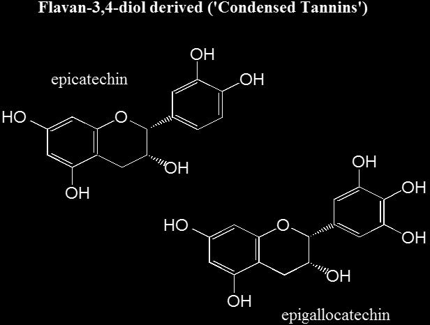 Ταννίνες (δ) Συμπυκνωμένες ταννίνες: