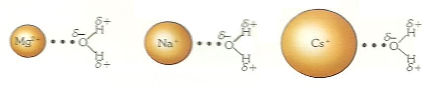 Δυνάμεις Ιόντος-Διπόλου Mg 2+ Na + Cs +