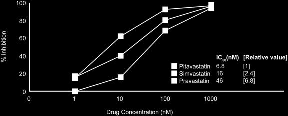 High HMG-CoA reductase inhibition and affinity in vitro (Wistar Rats) Pitavastatin inhibited