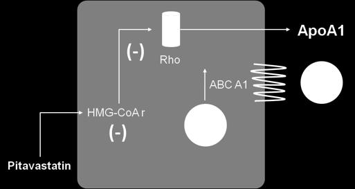 levels Mechanism