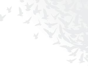 Νικοπούλου Χ. Τσαμέτης Γ.