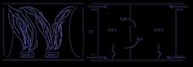 Μμκηεθμπμίδζδ εζςηενζηώκ πώνςκ Gas phase mass equilibrium dc chem _ gas V Echem _ gas Qind _ out Cchem _ gas Cchem _ gas _ out V dt C chem _ PM k Cchem _ gas V rp Cchem _ gas V Kp C PM C rd Cchem _