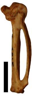 114.2: