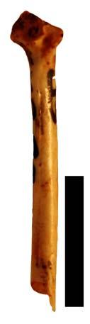 17.7 17.