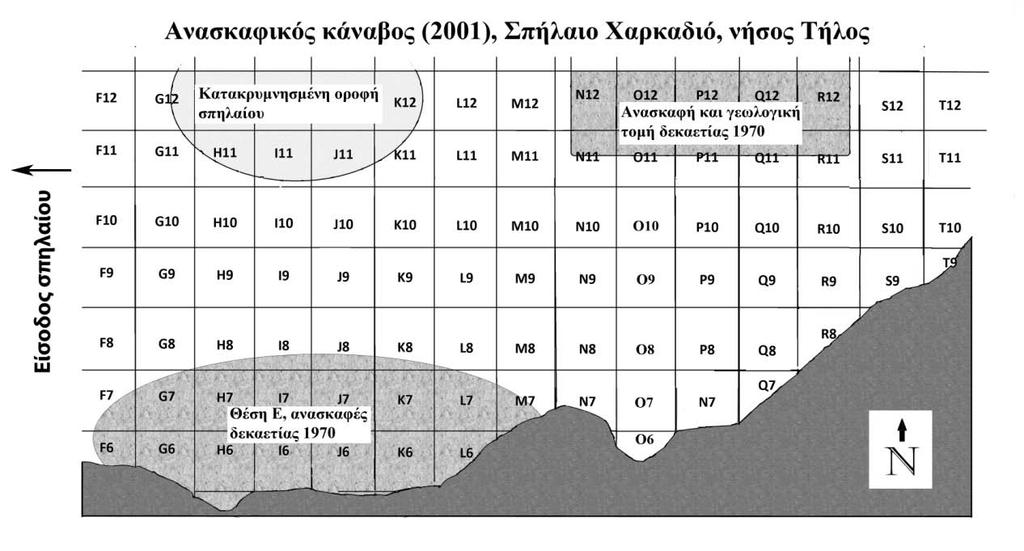 Viverridae) που δυνητικά θα μπορούσαν να έχουν θάψει τα παραπάνω πτηνά στο βάθος του σπηλαίου ως αποθήκη τροφής δεν έχουν βρεθεί έως τώρα. Εικόνα 4.