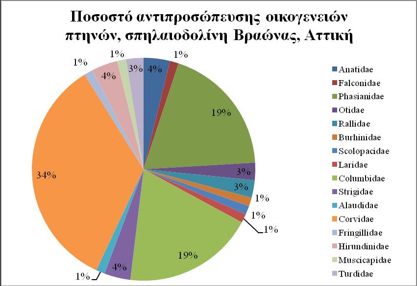 5.3 Παλαιοοικολογία πανίδας πτηνών από τη σπηλαιοδολίνη της Βραώνας, Αττική. Στην Εικόνα 5.