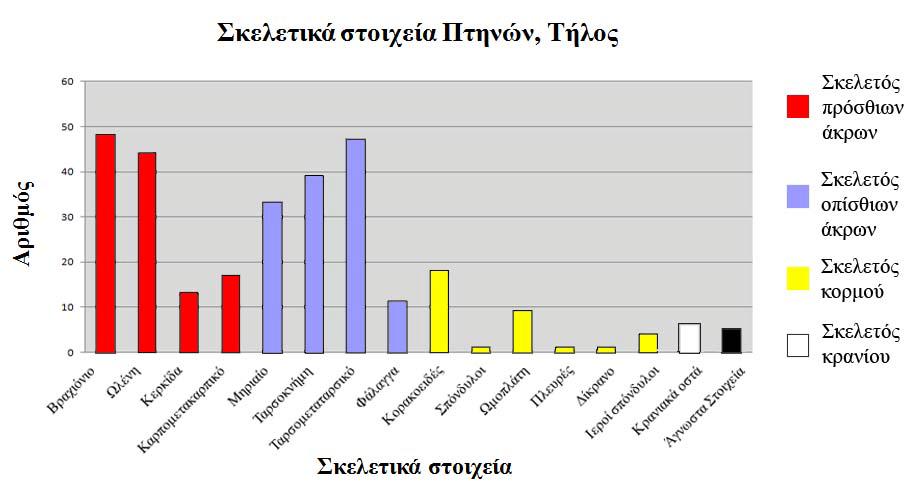 Ανατομικά στοιχεία Αριθμός Δεξί Αριστερό Βραχιόνιο 48 23 25 Ωλένη 44 21 23 Κερκίδα 13 - - Καρπομετακαρπικό 17 9 8 Μηριαίο 33 18 15 Κνημοταρσικό 39 17 22 Ταρσομεταταρσικό 47 21 26 Φάλαγγα 11 - -