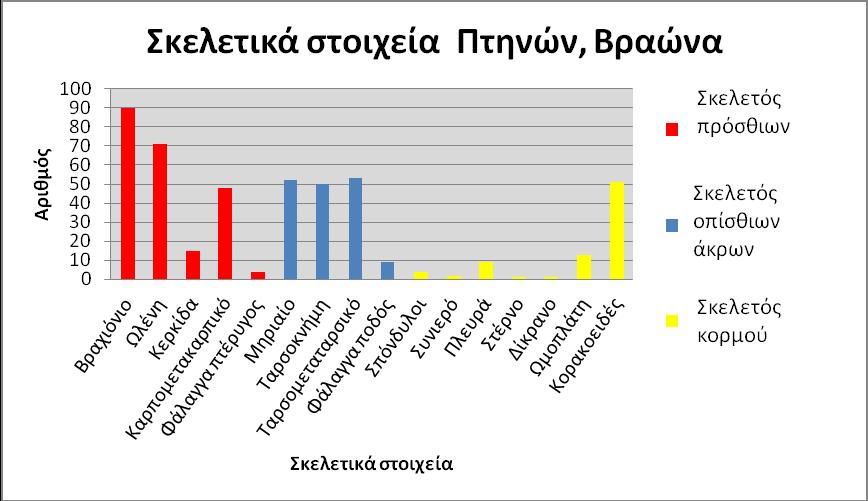 πρόσθιων και οπίσθιων άκρων). Τα συμπεράσματα της αριθμητικής κατανομής των σκελετικών στοιχείων θα αναλυθούν στο κεφάλαιο «Ταφονομία».