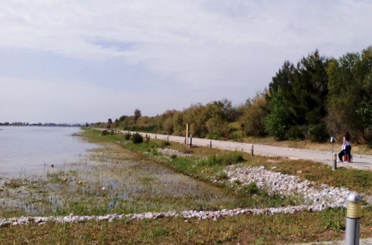 Εικόνα 3.