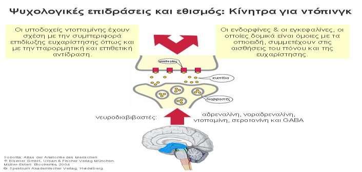 Παράγοντες που επηρεάζουν την ψυχολογία ενός αθλητή Η, ανεξάρτητα από το άθλημα στο οποίο επιδίδεται αποτελεί πολύ σημαντικό παράγοντα αφού επηρεάζει άμεσα την επίδοση του.