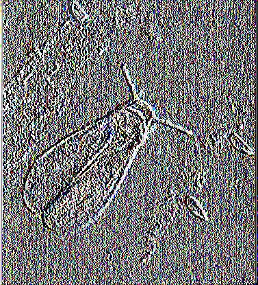 ΡαΓ^βπιίΞία