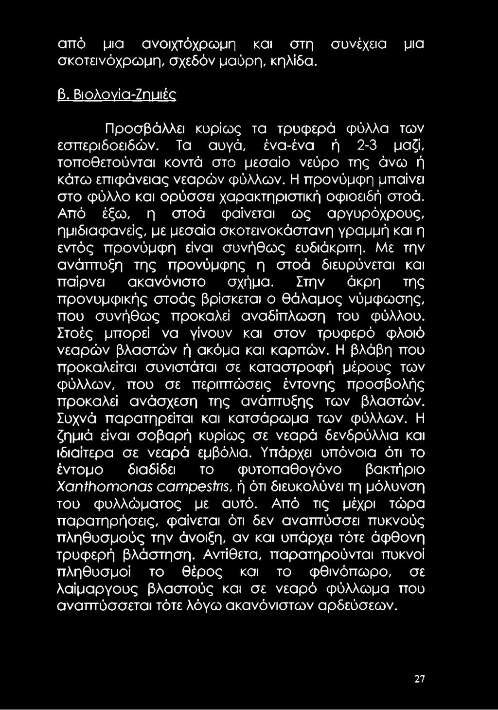 Από έξω, η στοά φαίνεται ως αργυρόχρους, ημιδιαφανείς, με μεσαία σκοτεινοκάστανη γραμμή και η εντός προνύμφη είναι συνήθως ευδιάκριτη.
