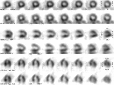 chrestomathic.