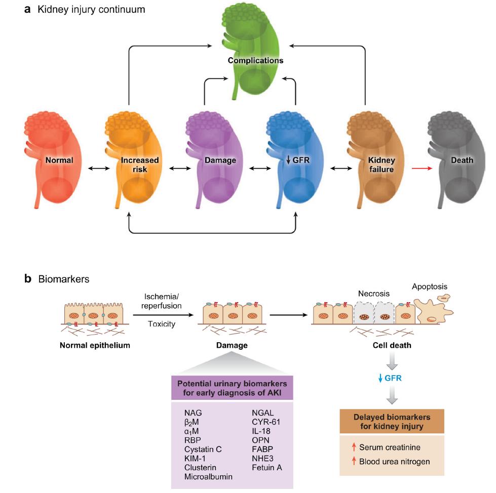 Vaidya et al.