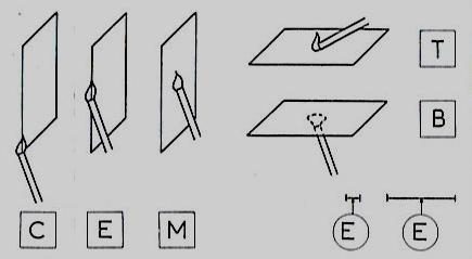 (igniter) (C): Bαμβάκι (cotton) (E): Κλίμακα 1 cm (1 cmscale) (E ): Κλίμακα 1 in (1 inscale) Στην περίπτωση που το δείγμα έχει σχήμα
