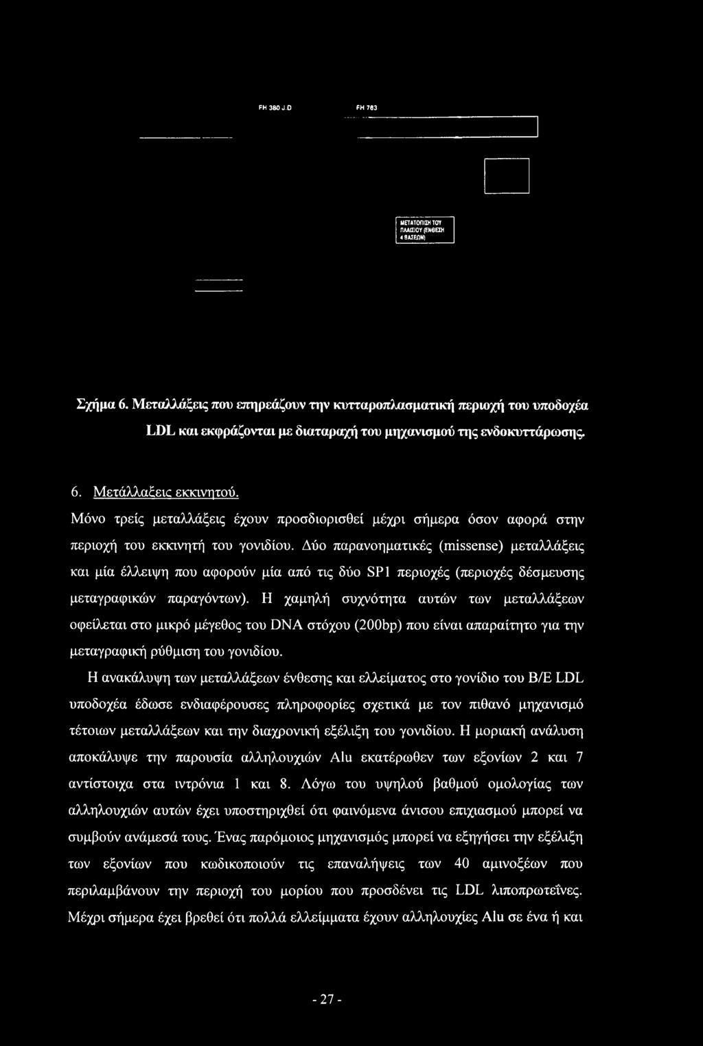 Μόνο τρείς μεταλλάξεις έχουν προσδιορισθεί μέχρι σήμερα όσον αφορά στην περιοχή του εκκινητή του γονιδίου.