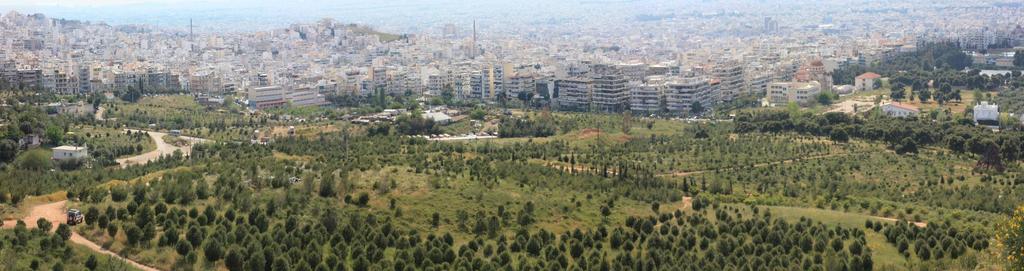 Νέα Διαχειριστική Μελέτη για το μικρό Άλσος στο Λόφο του Παιδιού Υλοποίηση της πρόβλεψης του Νόμου 4277/2014 «Νέο Ρυθμιστικό Σχέδιο Αθήνας - Αττικής» για την δημιουργία Μητροπολιτικού Πάρκου στα