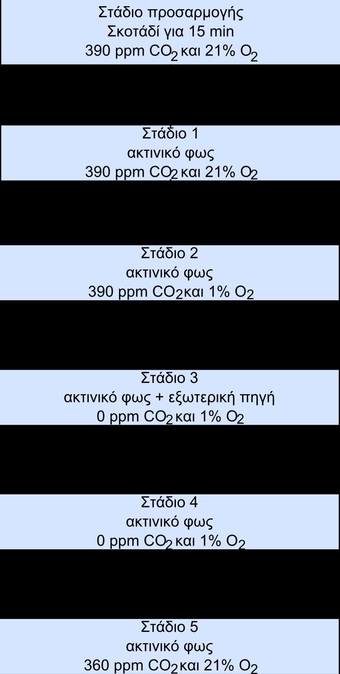 Παράρτθμα 6.1.4.