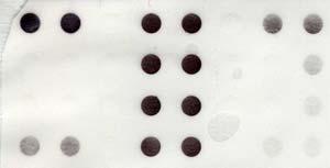 Αποτελέσµατα 3. β2cysloopecd-myc-6xhis (β2cysloopecd) (Εικόνα 53).