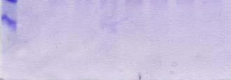mau Α 440 kda 669 kda 158 kda 2000 kda 66 kda 29 kda Β P N Α15 Β1 Β6 Β7 Β8 Β9 Β14 Β15 C1 C2 Γ kda 70 35 Μ 1 2 3 4 5 6 7 8 Β2 Β10 C3 Β3 Β11 I Β4 Β12 Β5 Β13 Εικόνα 53: Α: Χρωµατογράφηµα της