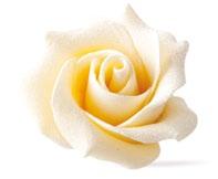 Elegance Assortment Chocolate Rose Διαστ.
