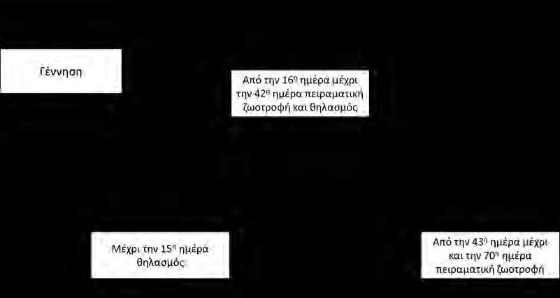 3. Υλικά και Μέθοδοι Για το σκοπό της παρούσας διπλωματικής εργασίας, πραγματοποιήθηκε εκτροφή νεαρών προβάτων στο Ινστιτούτο Επιστήμης και Ζωικής Παραγωγής στα Γιαννιτσά Πέλλας, με εφαρμογή