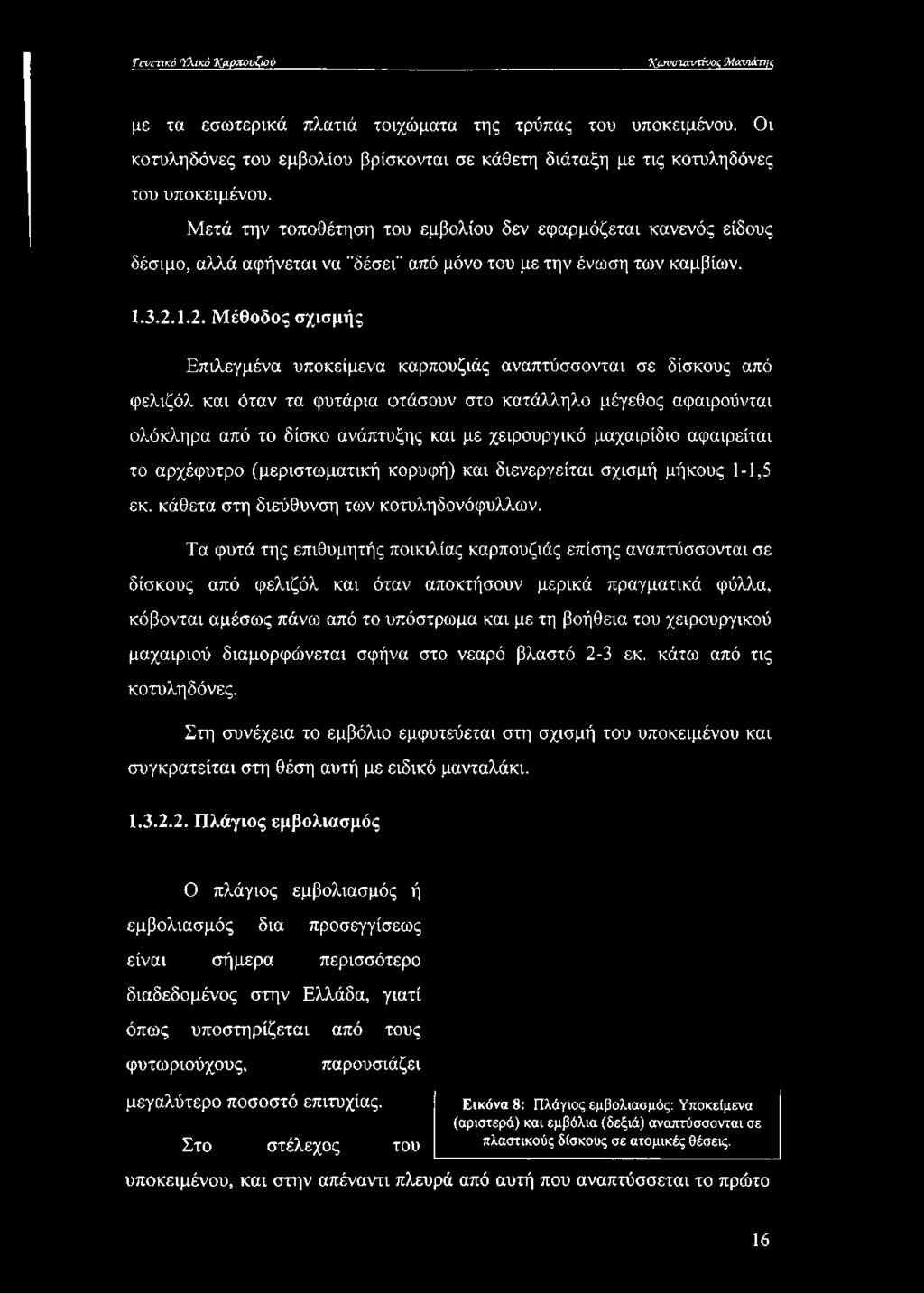 Μετά την τοποθέτηση του εμβολίου δεν εφαρμόζεται κανενός είδους δέσιμο, αλλά αφήνεται να "δέσει" από μόνο του με την ένωση των καμβίων. Ι.3.2.