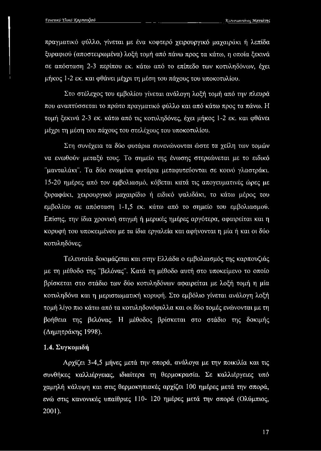 Στο στέλεχος του εμβολίου γίνεται ανάλογη λοξή τομή από την πλευρά που αναπτύσσεται το πρώτο πραγματικό φύλλο και από κάτω προς τα πάνω. Η τομή ξεκινά 2-3 εκ.