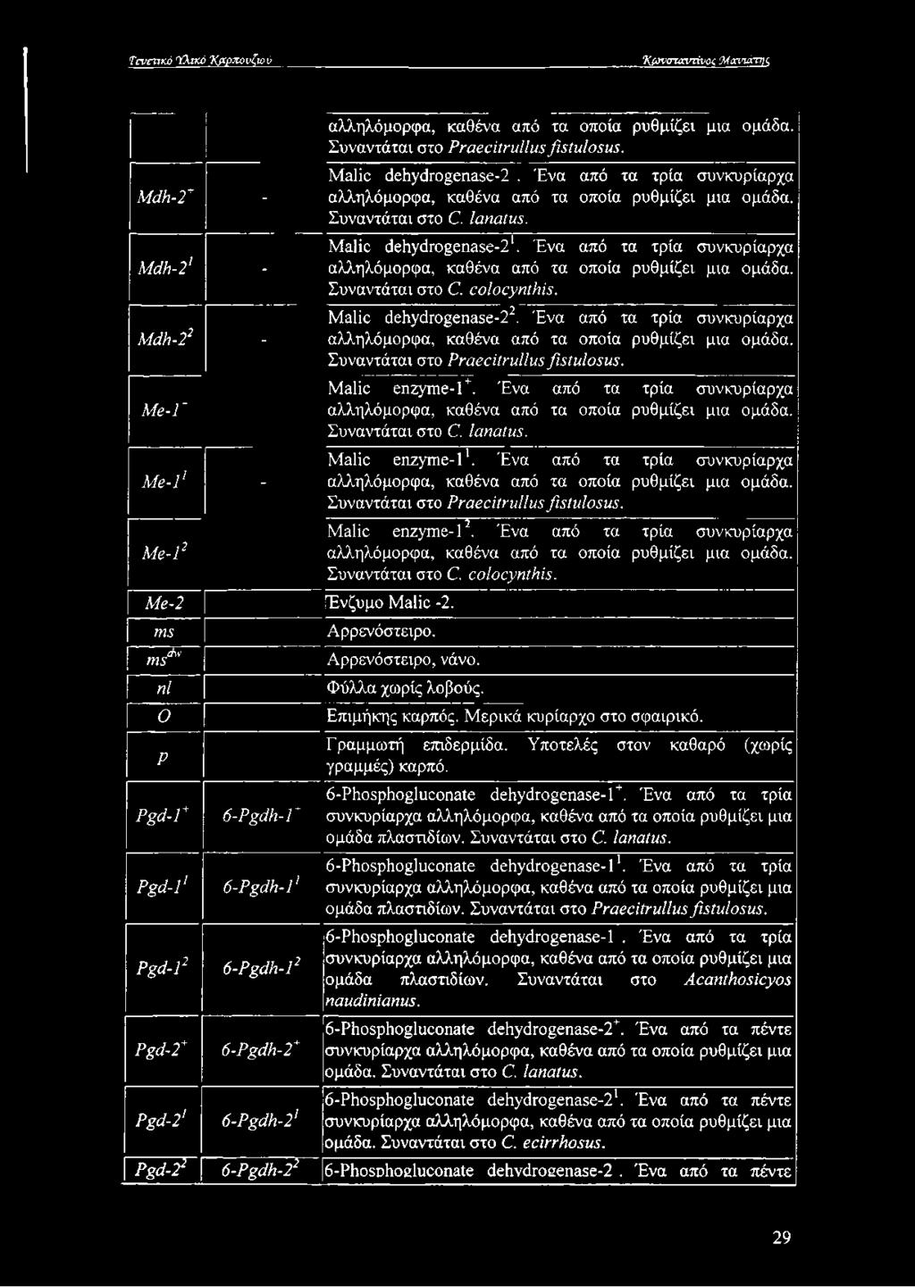 Ένα από τα τρία συνκυρίαρχα αλληλόμορφα, καθένα από τα οποία ρυθμίζει μια ομάδα. Συναντάται στο C. colocynthis. Mdh-22 - Malic dehydrogenase-22.