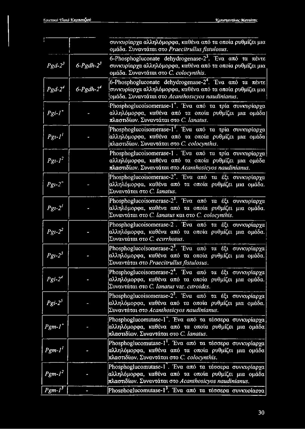 Ένα από τα πέντε συνκυρίαρχα αλληλόμορφα, καθένα από τα οποία ρυθμίζει μια ομάδα. Συναντάται στο ΑοαηίΗοςιογοε ηαηάίηίαημ. Ρ8ΐ-1+ - Ρ1κ>8ρ1κ^1ιιεοί8οηιεΓα8ε-1+.
