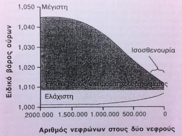 Διαταραχή στη συμπύκνωση και αραίωση των ούρων Υψηλός ρυθμός σωληναριακής ροής υγρού στους