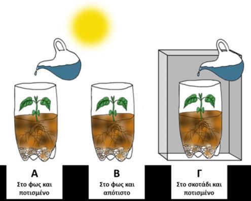 Το υδρόβιο φυτό προσλαμβάνει το αέριο διοξείδιο του άνθρακα και στον δοκιμαστικό σωλήνα απελευθερώνεται το αέριο οξυγόνο. 27.