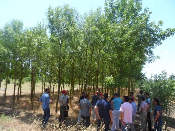 Εικόνα 12: Το εγχειρίδιο του SRCplus στα Λετονικά Πρώτες εκδηλώσεις για ιδιοκτήτες (διαχειριστές) δημόσιων εκτάσεων και χρήστες θρυμματισμένου ξύλου στην Ελλάδα Εικόνα 13: Πρώτη εκδήλωση για