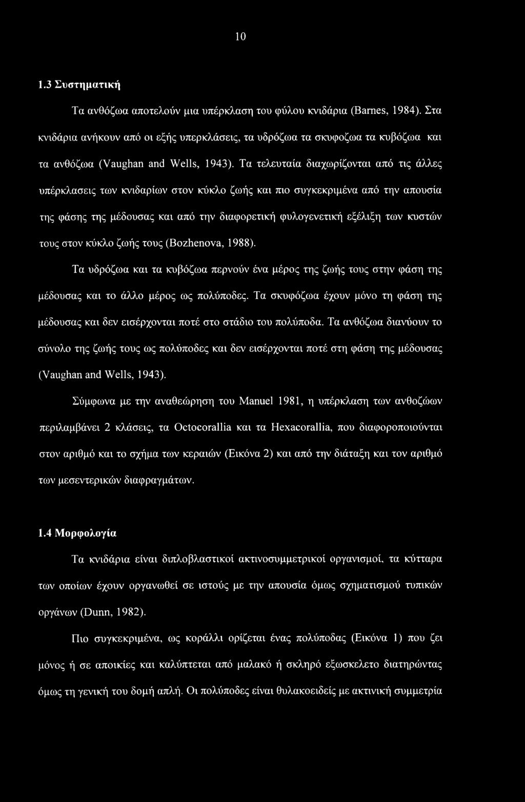 Τα τελευταία διαχωρίζονται από τις άλλες υπέρκλασεις των κνιδαρίων στον κύκλο ζωής και πιο συγκεκριμένα από την απουσία της φάσης της μέδουσας και από την διαφορετική φυλογενετική εξέλιξη των κυστών