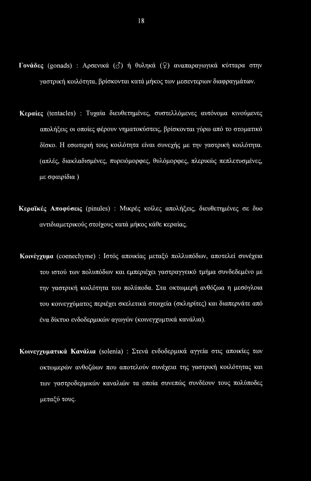 Η εσωτεριή τους κοιλότητα είναι συνεχής με την γαστρική κοιλότητα, (απλές, διακλαδισμένες, πυρειόμορφες, θυλόμορφες, πλερικώς πεπλετυσμένες, με σφαιρίδια) Κεραϊκές Αποφύσεις (pinules) : Μικρές κοίλες