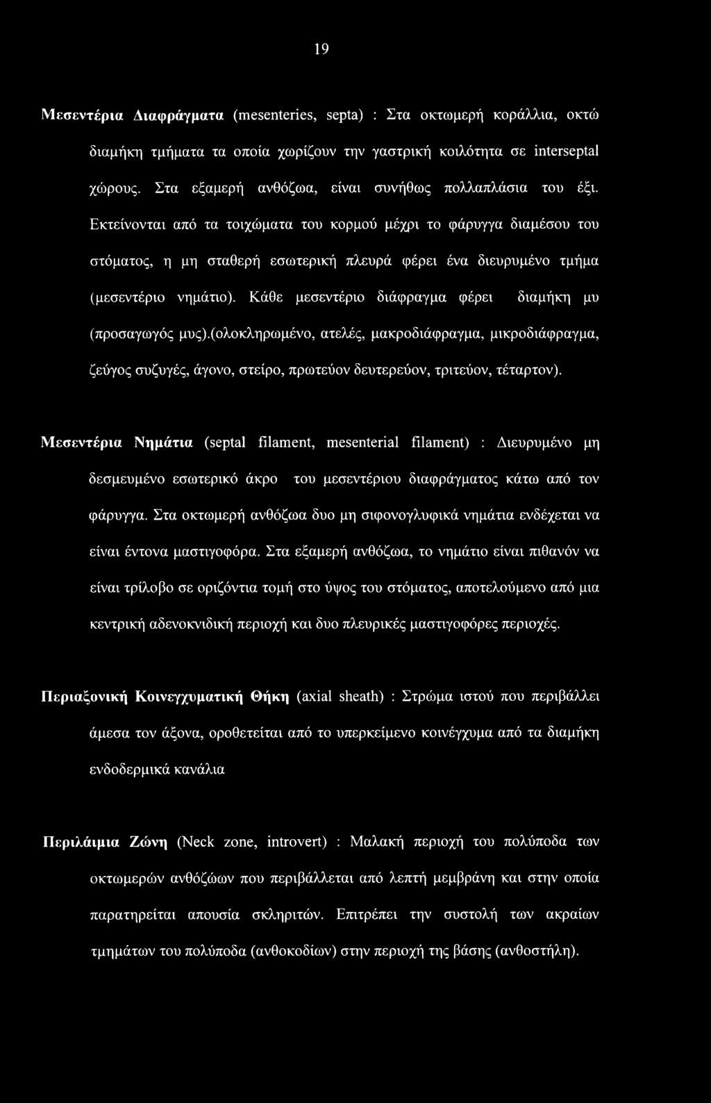 Εκτείνονται από τα τοιχώματα του κορμού μέχρι το φάρυγγα διαμέσου του στόματος, η μη σταθερή εσωτερική πλευρά φέρει ένα διευρυμένο τμήμα (μεσεντέριο νημάτιο).