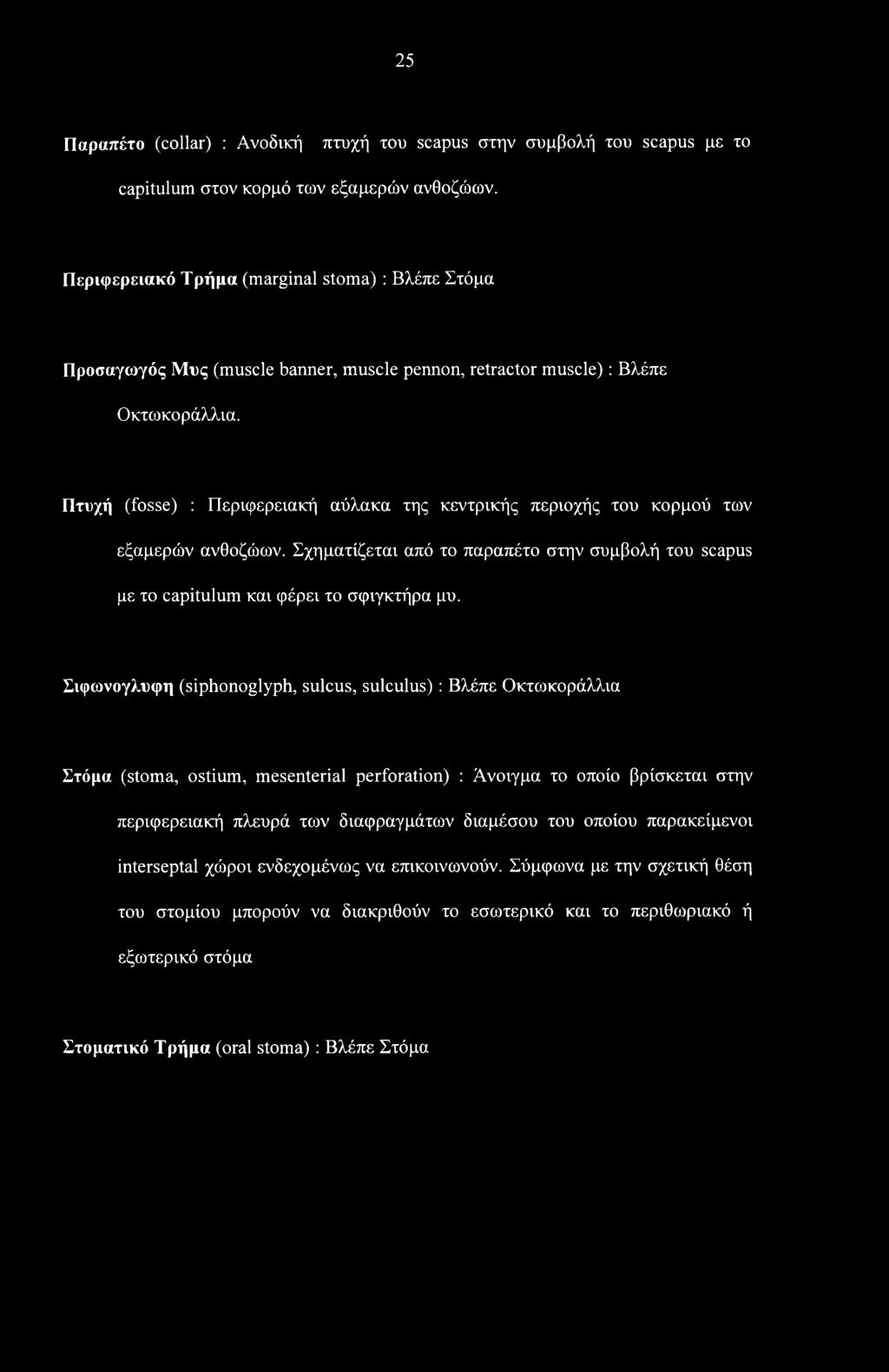 Πτυχή (fosse) : Περιφερειακή αύλακα της κεντρικής περιοχής του κορμού των εξαμερών ανθοζώων. Σχηματίζεται από το παραπέτο στην συμβολή του scapus με το capitulum και φέρει το σφιγκτήρα μυ.