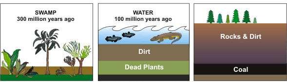 Ορυκτά καύσιμα (13/21) Βάλτος 300*10 6 έτη πριν Νερό 100*10 6 έτη πριν Πριν τους δεινόσαυρους πολλά γιγάντια φυτά θάφτηκαν στους βάλτους Λάσπη Νεκρά φυτά Για πολλά εκατομμύρια