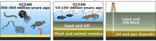 Ορυκτά καύσιμα (18/21) Ωκεανός: 300-400 10 6 έτη πριν από σήμερα Ωκεανός: 50-100 10 6 έτη πριν από σήμερα Μικρά θαλάσσια φυτά και ζώα θάφτηκαν στο πυθμένα των ωκεανών.