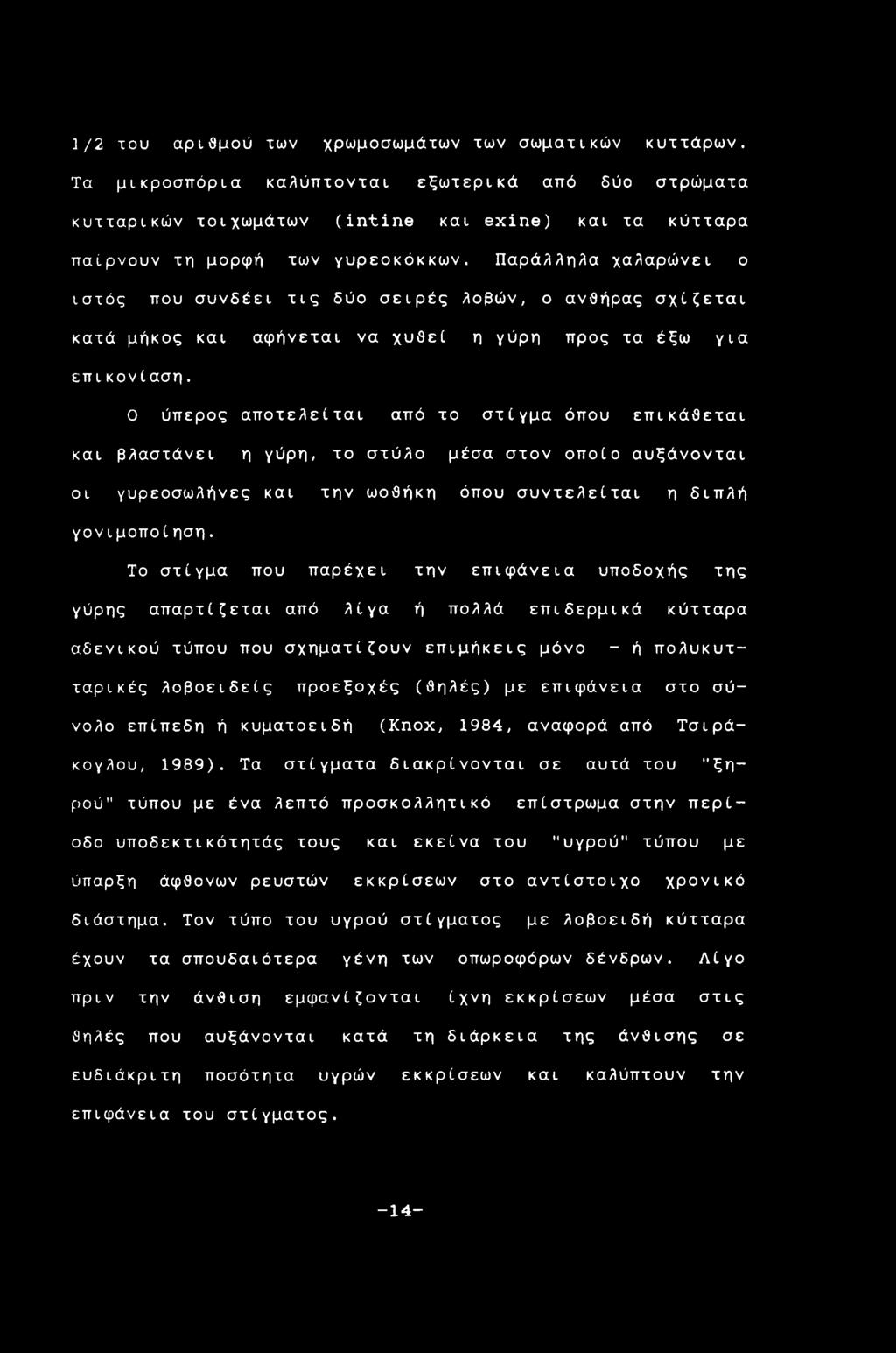 Παράλληλα χαλαρώνει ο ιστός που συνδέει τις δύο σειρές λοβών, ο ανθήρας σχίζεται κατά μήκος και αφήνεται να χυθεί η γύρη προς τα έξω για επικονίαση.
