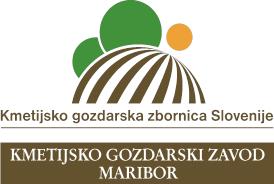 Maribor, project coordinator